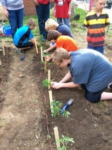 Planting some tasty tomatoes at the YEAH Kids community garden.