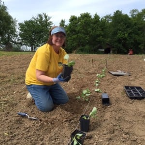 michele planting cabbage