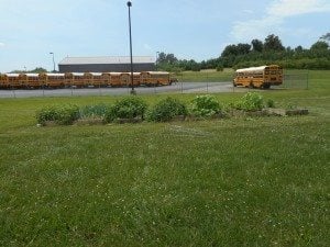 Several boxes planted by students, teachers, and other employees at Union County Middle School.