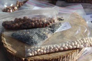 At the seed exchange last fall. We had these packaged to give away.