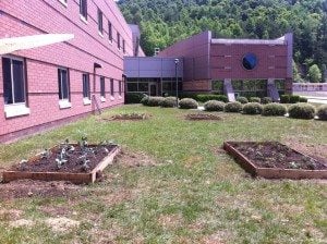 The finished products.