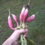 downsized_0608151832