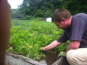Here's our OU summer service corps intern, Ian, helping to clean up some overgrown potato beds at the Glouster Community Garden.