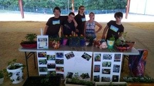 IMG_20150606_093002054