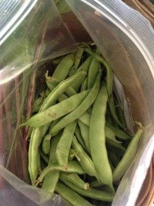 greenbeans
