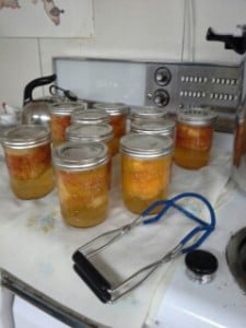 20150730_205723_resized_3