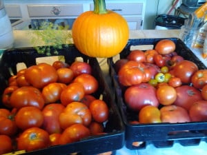 20150809_1824301813625377