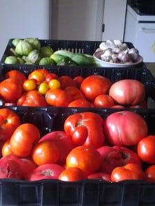 20150810_12051770960003