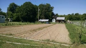 IMG_20150801_112124058