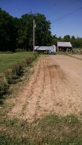 IMG_20150801_112150140