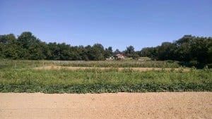 IMG_20150801_112300558