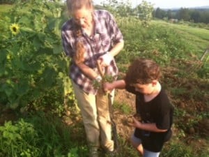 Digging potatoes with our newest member.