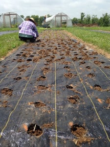 18472813594_c4bd806999_z