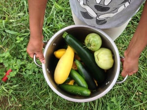 18682456094_fe5ee5eb7c_z