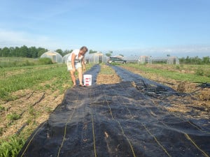 18737390375_5a9c74f7d9_z