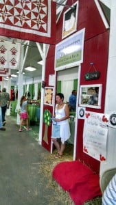 IMG_20150810_175739489_HDR