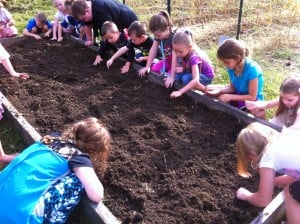 Planting spinach and kale for the fall.
