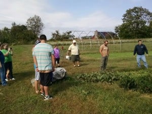 IMG_20151012_142955996