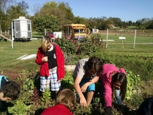 IMG_20151015_105824704