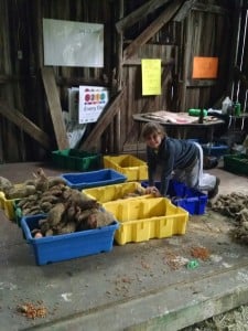 IMG_20151016_095410463