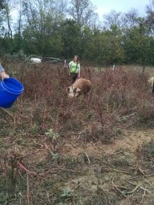 IMG_20151016_110709732