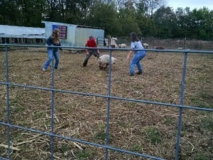 IMG_20151016_110912059