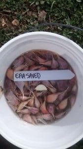 November 17, 2015 435