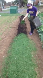 November 17, 2015 442