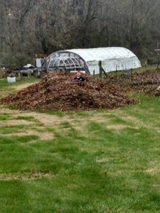 IMG_20151128_162708243_HDR