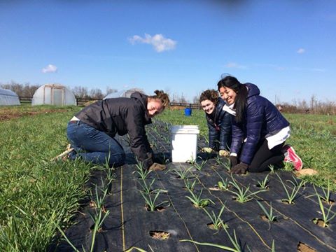 11665438_934993899943237_1511815403169719992_n