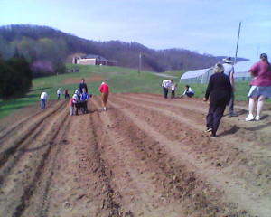 Potato planting wednesday.
