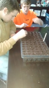 IMG_20160217_133621303