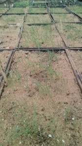 IMG_20160217_145402515