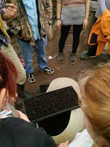 IMG_20160220_161554235