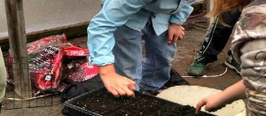 IMG_20160220_161804542_HDR