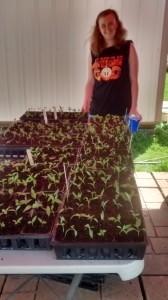 IMG_20160330_140417899_HDR