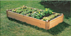 garden box