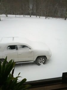 12973248_10208118395151945_7375149088683400696_o