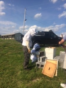 Bill and Marisol preparing to put a new pack of bee's in the hive. Marisol decided that since she's now seen two swarms of bee's in the garden she ought to learn more about bee whispering.