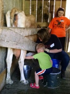 IMG_20160429_113131369