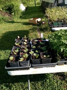 IMG_20160502_083230871