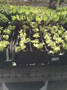 IMG_20160502_083423950