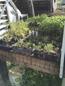 IMG_20160502_083429943