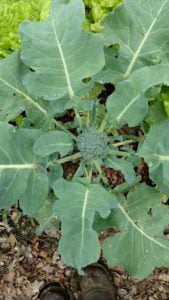 3dc221c3-6e69-4aa6-91d3-38619f1490c6