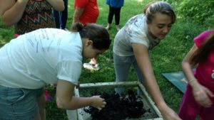 IMG_20160601_100203385