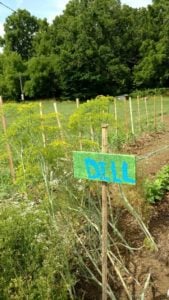 IMG_20160624_110228345