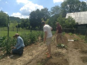 Swinging Bridge Farm 3