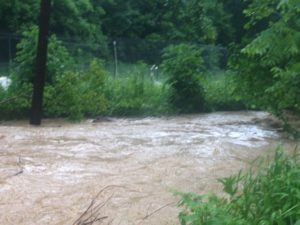 Floods threaten Garden