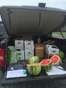 produce boxes in trucks