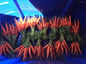Carrot Harvest